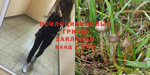 твердый Белоозёрский