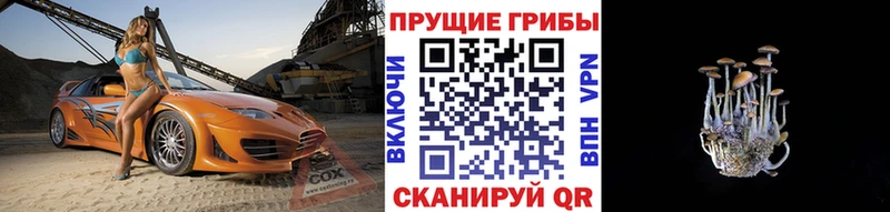 Псилоцибиновые грибы мухоморы  Купить  Нолинск 
